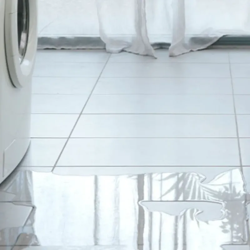Appliance Leak Cleanup in East Porterville, CA