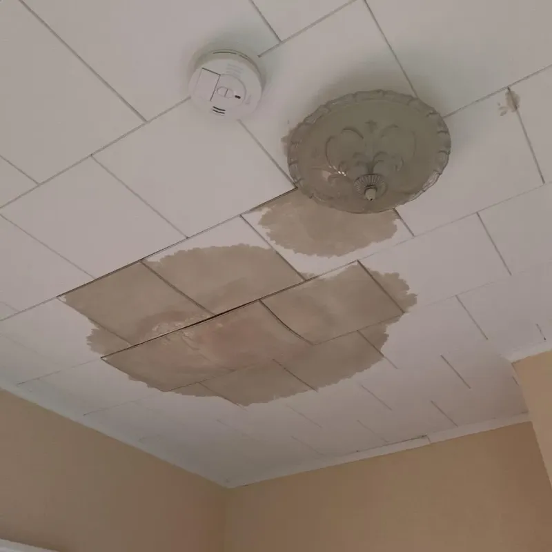 Ceiling Water Damage Repair in East Porterville, CA