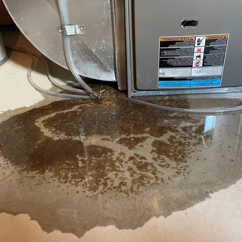 Pipe Burst and Leak Restoration in East Porterville, CA